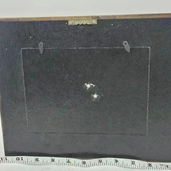 Chinook Salmon framed print - Picture 8 of 10